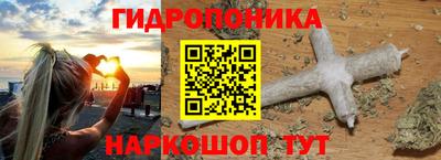 apvp Пушкино