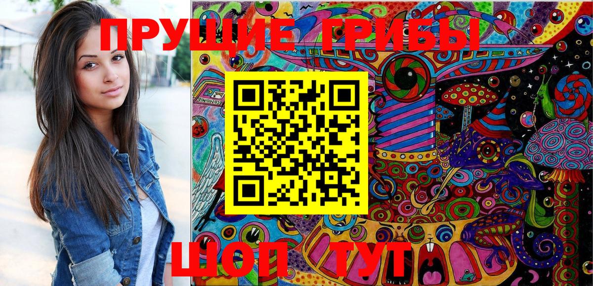Галлюциногенные грибы Psilocybe  Вход с VPN  Ачхой-Мартан  Галлюциногенные грибы GOLDEN TEACHER 