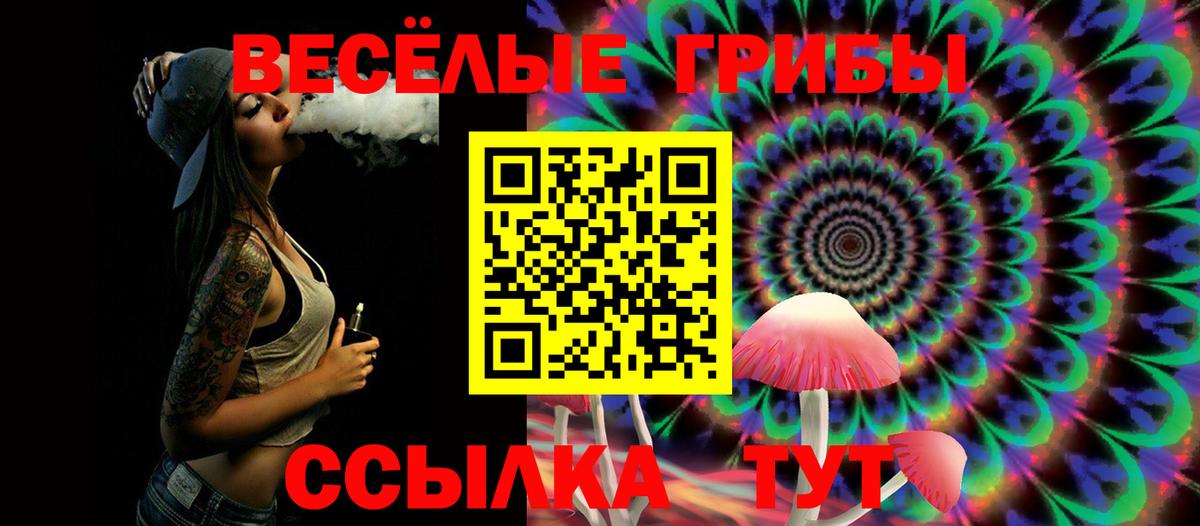 LSD-25 Ачхой-Мартан